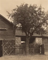 The Barn