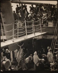 The Steerage