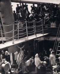 The Steerage