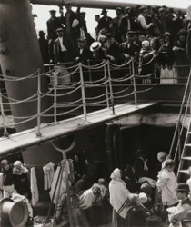 The Steerage