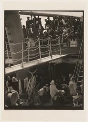 The Steerage