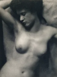 The Torso