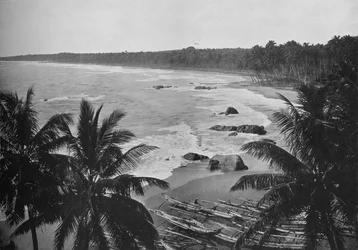 View from Mount Lavinia, Showing Cocoanut Palms along Seashore