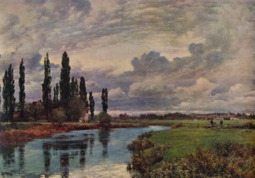 Poplars in the Thames Valley