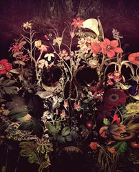 Dark Floral Skull