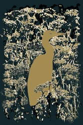 Royal Egret, 2015