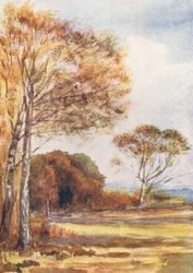 New Forest: Below Park Hill, Looking Towards the Farm, October