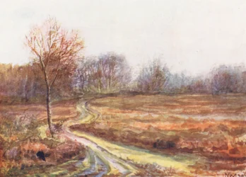 New Forest: Cart Track Over the Moor, Late November