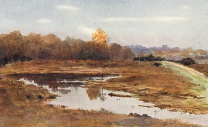 New Forest: On the Beaulieu Road, A Wet October