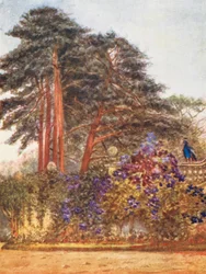 New Forest: Scotch Firs and Garden Wall at Park Hill, Evening Light