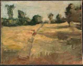 The Field