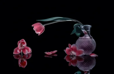 Elegant Pink Tulips