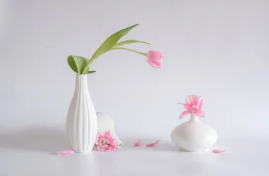 Soft Pink Tulip Arrangement