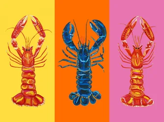 Colorful Pop Lobsters