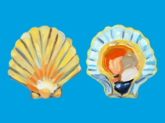 Golden Scallop Shells