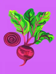 Vibrant Garden Beet