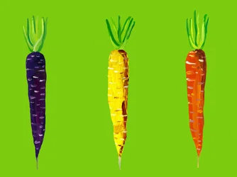 Vibrant Garden Carrots