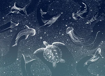 Celestial Marine Life