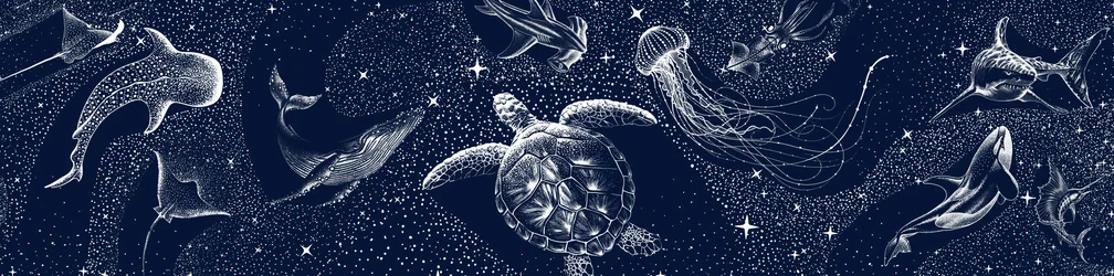 Celestial Marine Life