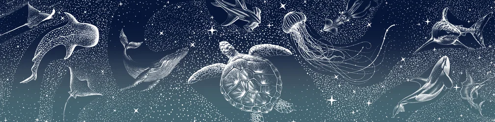 Celestial Sea Animals