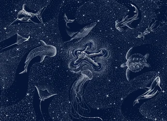 Cosmic Ocean Dream