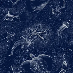 Cosmic Ocean Voyage