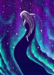Northern Lights Whale Shark