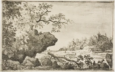 Branch of a Tree