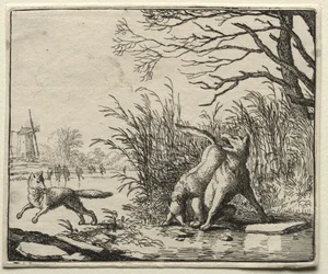 Reynard the Fox: A New Accusation by the Wolf