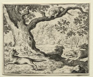 Reynard the Fox: The Disloyal Cat