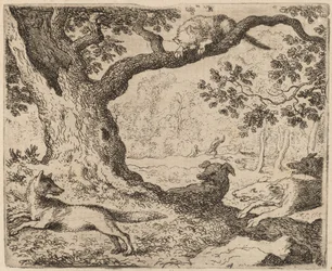Reynard