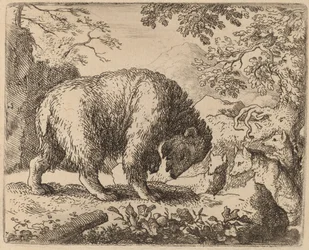 The Bear Distracted with Talk of Honey