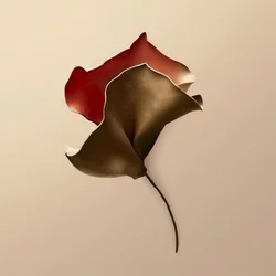 Folded Bloom Form