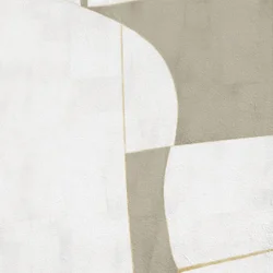 Minimal Curves And Shadows