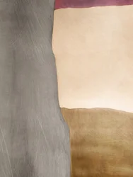 Organic Color Fields