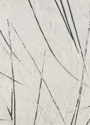 Organic Lines Texture