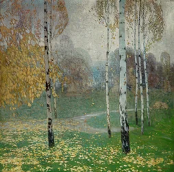 Birch Trees