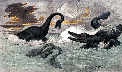 Lias Period (Lower Jurassic): Plesiosaur and Ichtyosaur