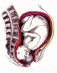 Natural or Spontaneous Childbirth