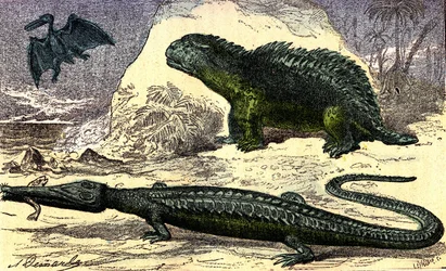 Prehistory - Jurassic Period: The Teleosaur and the Hyleosaur. The Pterodactyl upstairs. Natural Creation and Living Beings. Drawing by A. Demarle. 1885