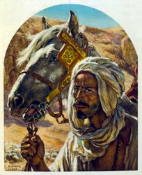 Illustration from 