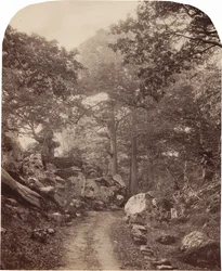 Fontainebleau, c. 1860s
