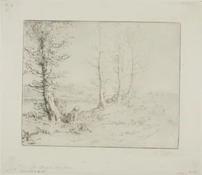 Along the Riverbank