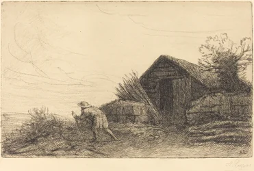 Along the Top of the Hill