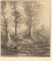 Banks of the Saint-Pre