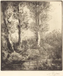 Banks of the Saint-Pre
