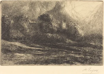 Chailli Seen in a Storm