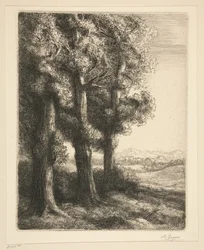 A Corner of a Wood