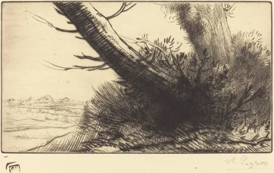 Corner of a Path
