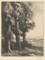 Corner of a Wood